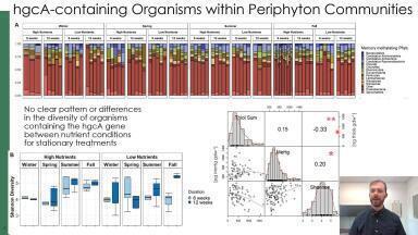 Understanding Environmental Controls on Fluvial Periphyton Composition and Effects on Mercury Cycling